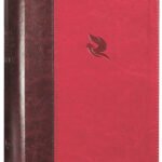 NKJV Spirit-Filled Life Bible in burgundy red letter edition, a comprehensive study Bible for personal spiritual growth