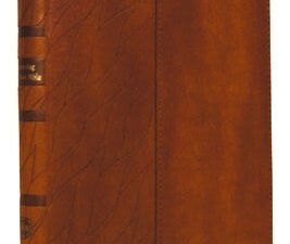 NKJV Encountering God Study Bible - Brown Indexed (Red Letter Edition) Bible for Personal Reflection