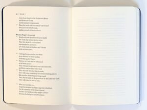 Large Print CSB Bible with Christian Standard Bible Study Edition in Luxury Edition