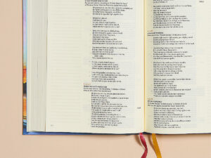 Luxurious CSB Hosanna Revival Notetaking Bible in a beautiful lake landscape
