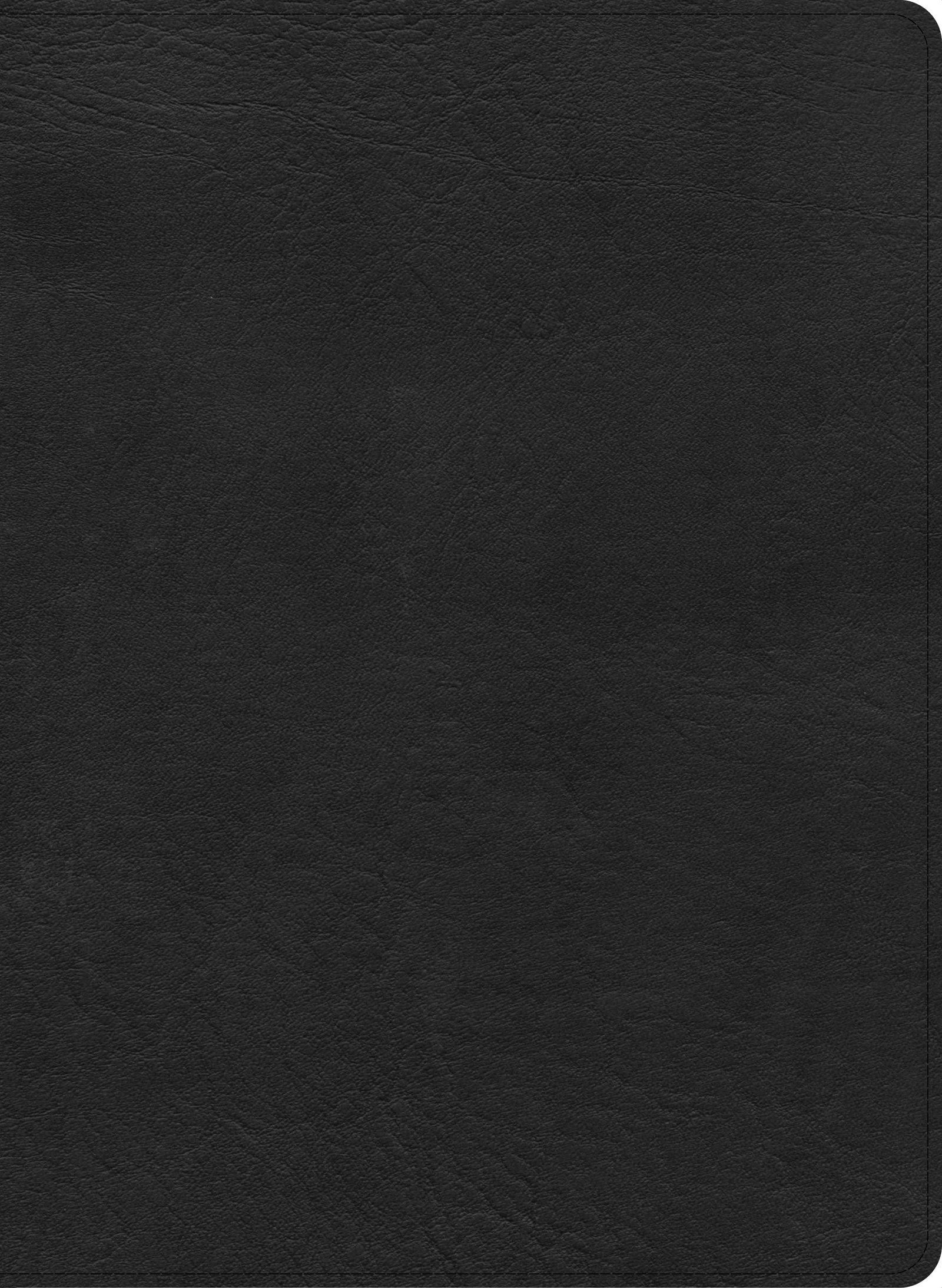 Luxury Csb Single Column Wide Margin Bible Black Letter Edition