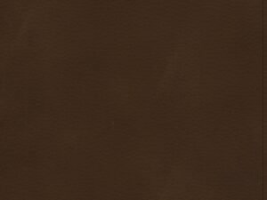 Brown leather bound CSB Christian Standard Bible with wide margin and black letter edition