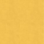 CSB Lifeway Women's Bible Marigold Indexed (Black Letter Edition)