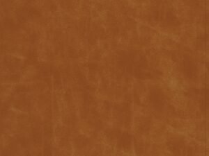 Elevate your devotion with the luxurious CSB Christian Standard Bible, Butterscotch Black Letter Edition, a premium Bible exp