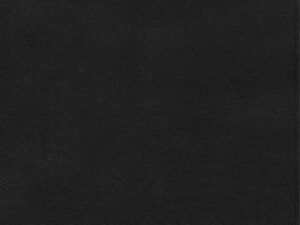 Luxury Black Letter CSB Apologetics Study Bible with Christian Standard Bible apologetics notes.