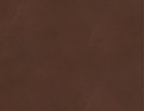 KJV Single-Column Journaling Bible in red letter edition with wide margins for notes