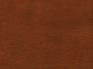 Elegant Burnt Sienna Leather CSB Thinline Reference Bible in Red Letter Edition