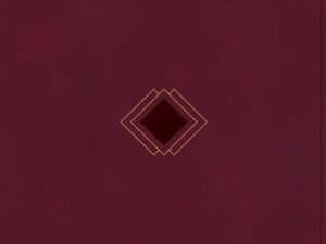 Chronological Bible, Burgundy, Black Letter Edition, for daily reflection and prayer