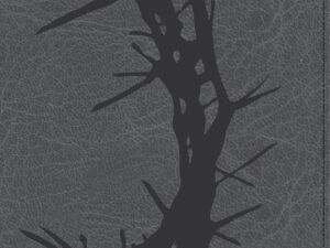CSB Large Print Personal Size Reference Bible Charcoal Indexed (Red Letter Edition)