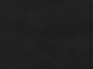 CSB Large Print Compact Reference Bible Black (Red Letter Edition)