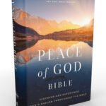 NKJV Peace of God Journaling Bible, red letter edition, scripture writing journal