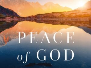 NKJV Devotional Scripture Journaling Bible: Reflect and Grow through Scripture Journaling and Reflections.