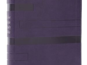 NIV Color Code Study Bible in Purple, featuring Red Letter Edition for deeper Bible understanding