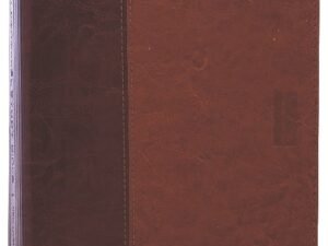 NLT Parallel Study Bible Brown/Tan (Black Letter Edition)
