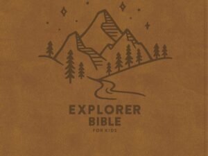 CSB Explorer Bible For Kids Brown Mountains
