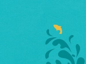 Aqua Blue CSB Easy-For-Me Bible for Early Readers, designed for young readers to learn and grow in faith.
