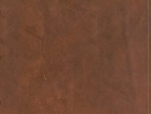CSB Men's Daily Bible, Black Letter Edition, Brown Indexed, Devotional Journaling Bible for Men