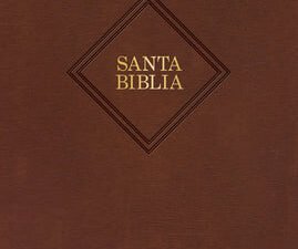 Reina Valera 1960 Spanish Bible Large Print Edition, RVR 1960 Biblia Letra Gigante
