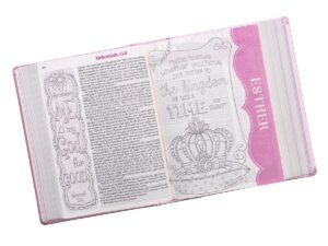 ESV My Creative Bible Pink Salsa Hardcover Luxleather