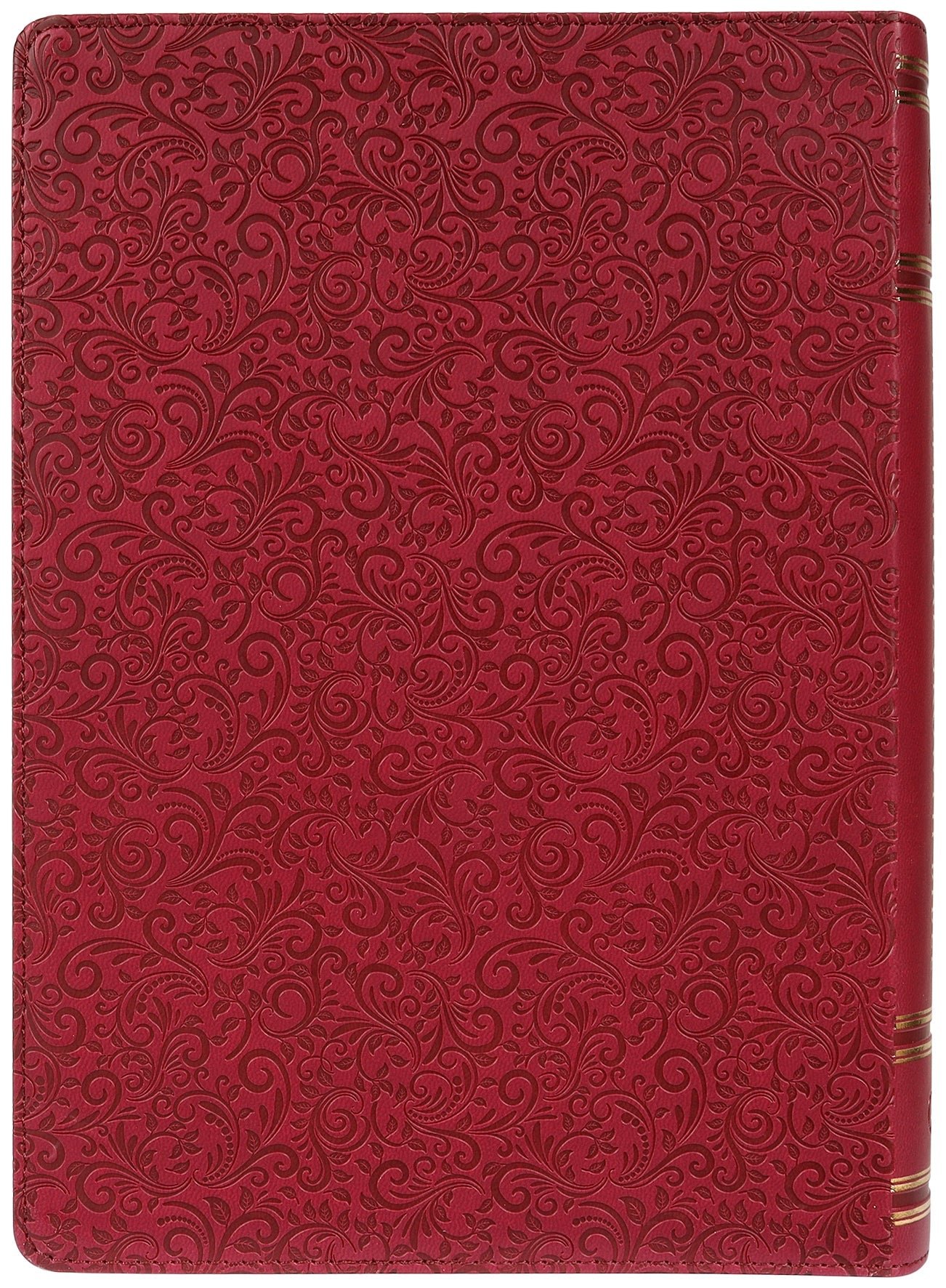 NLT Spiritual Growth Bible Berry Indexed