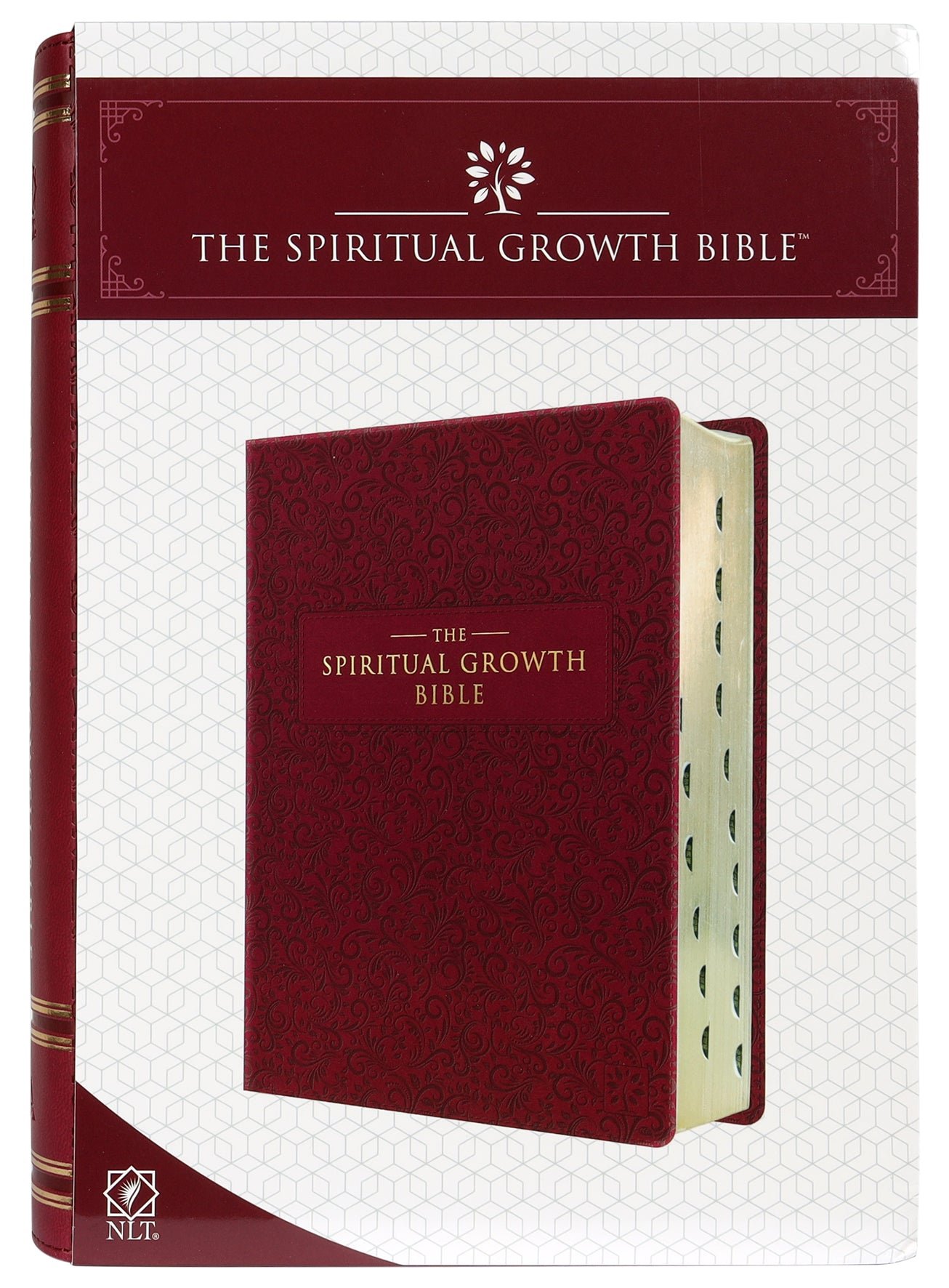 NLT Spiritual Growth Bible Berry Indexed