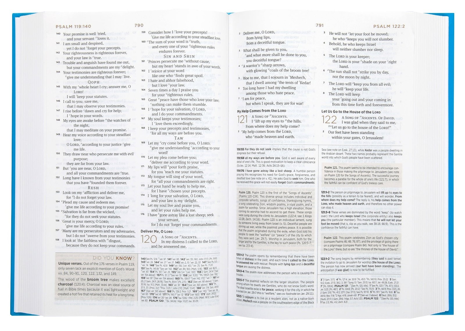 ESV Student Study Bible in Light Blue with Black Letter Edition and open pages