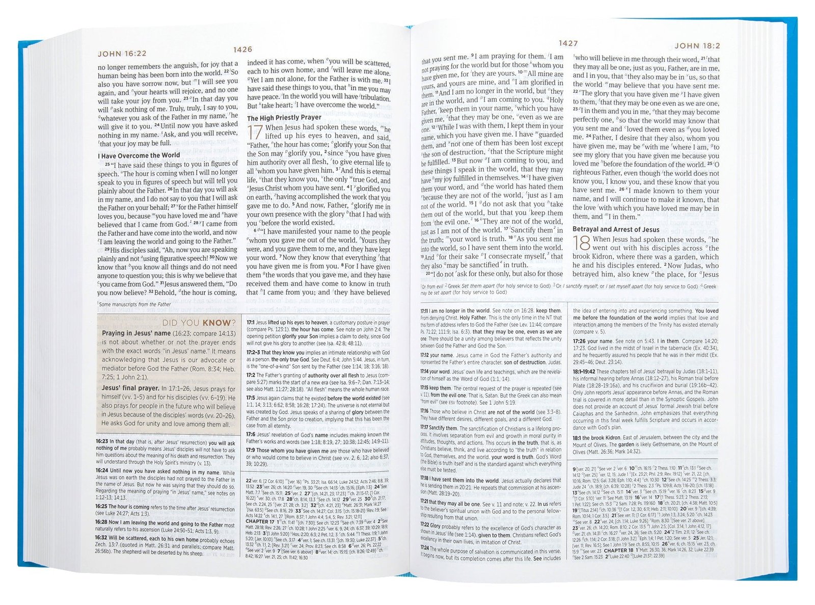 ESV Student Study Bible in Light Blue with Black Letter Edition from a reading angle