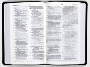 ESV Premium Gift Bible Midnight Flame Design (Black Letter Edition)