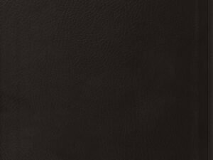 ESV Value Thinline Bible Black (Red Letter Edition)