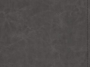 ESV Student Study Bible in gray leather with black letter edition