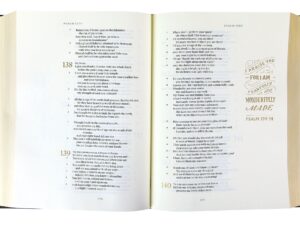 Illuminated ESV Bible Art Journaling Edition with green cover and paper dust jacket