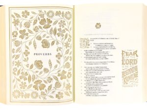 ESV Illuminated Bible Art Journaling Edition Blue With Slipcase (Black Letter Edition)