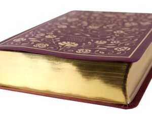 ESV Illuminated Bible Art Journaling Edition Black Letter, Burgundy Leather opened to a page
