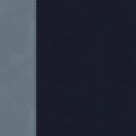 ESV Student Study Bible Navy/Slate Timeless Design (Black Letter Edition)