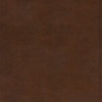 ESV Spanish/English Parallel Bible Brown (Black Letter Edition) (La Santa Biblia Rvr / The Holy Bible Esv)