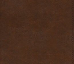 ESV Spanish/English Parallel Bible Brown (Black Letter Edition) (La Santa Biblia Rvr / The Holy Bible Esv)