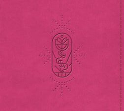 ESV Kid's Bible Thinline Trutone Berry the True Vine Design