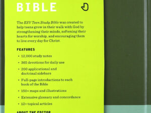 ESV Teen Study Bible Blush/Caramel