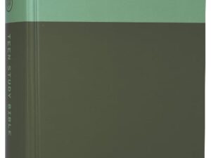 ESV Teen Study Bible Blush/Caramel open to a Bible study page
