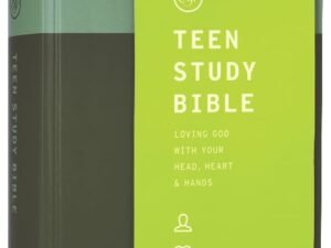 ESV Teen Study Bible with Blush and Caramel cover design