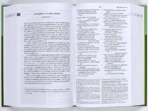 ESV Teen Study Bible Blush/Caramel