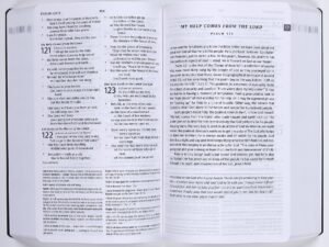 Back cover of the ESV Teen Study Bible, showing the book's design and title.