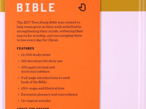 ESV Teen Study Bible Desert Sun