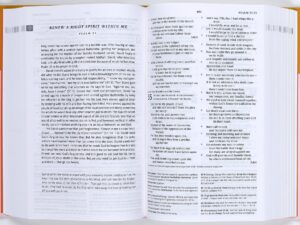 ESV Teen Study Bible Desert Sun Bible