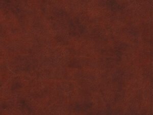 ESV Everyday Gospel Bible: Connecting Scripture to All of Life, Chestnut Bible Cover