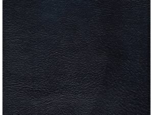 Elegant Black Letter Edition of the CSB Christian Standard Bible, Indexed for effortless navigation.