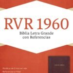 RVR 1960 Spanish Holy Bible in large print with references and burgundy leather binding