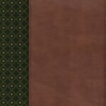 Rvr 1960 Biblia De Estudio Scofield, Verde Oscuro/Castaosmil Piel Con Ndice Chestnut/Forest Green