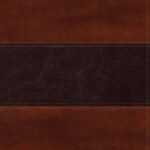 Caoba Smil Piel Spanish Peshitta Bible leather-bound edition