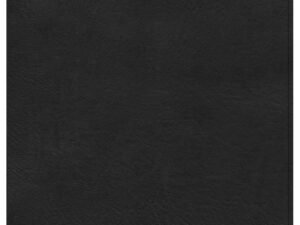 CSB Study Bible
